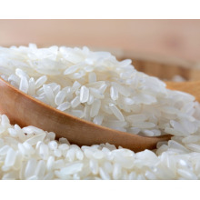 Вьетнам короткие зерна круглого риса/ japonica риса